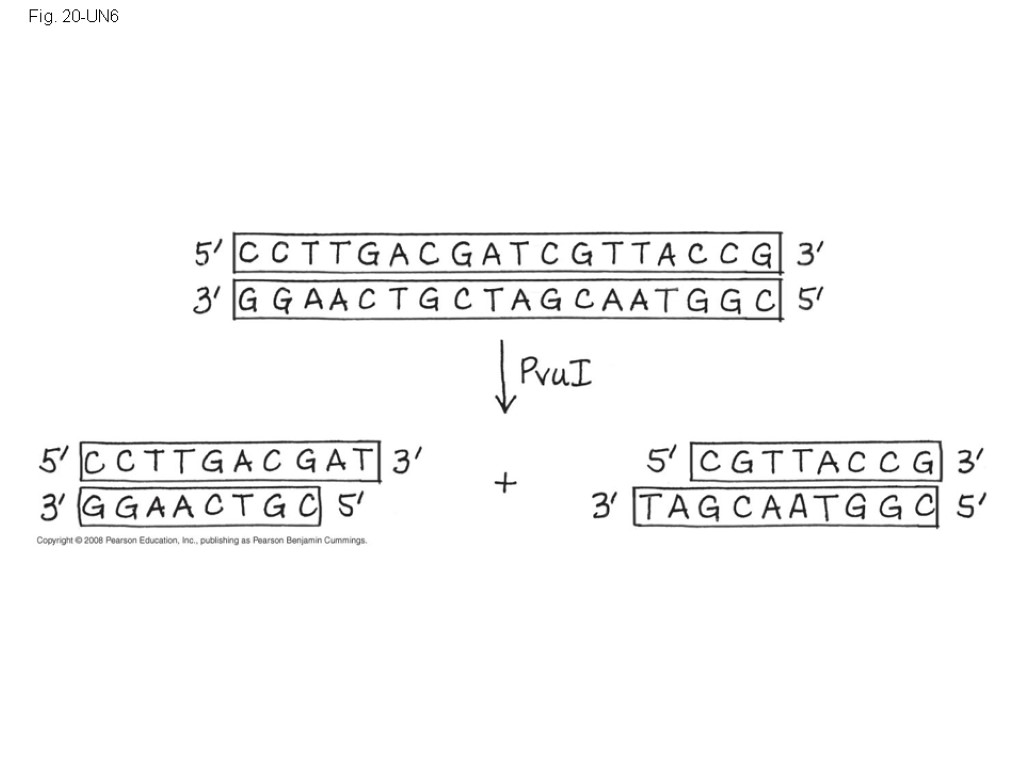 Fig. 20-UN6